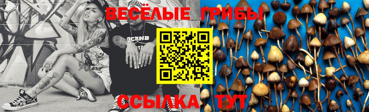 Галлюциногенные грибы Cubensis  Галлюциногенные грибы MAGIC MUSHROOMS  где купить наркоту  Вход с VPN  Копейск 